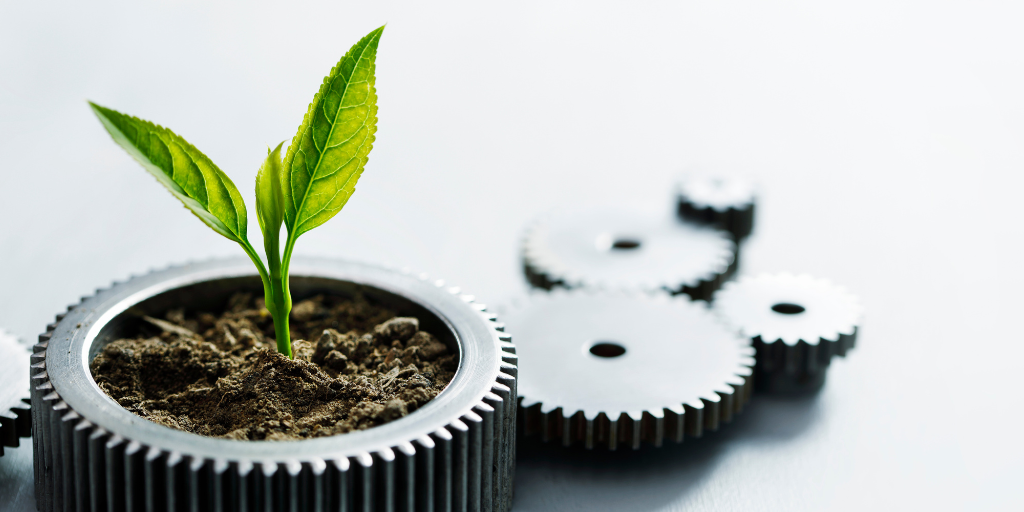 Plant growing out of a cog